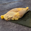 Cuisses de poulet Bio 800g
