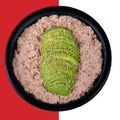 Thon mayo avocat