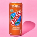 Oasis Tropical